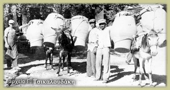 vedema-georgios-kostakis