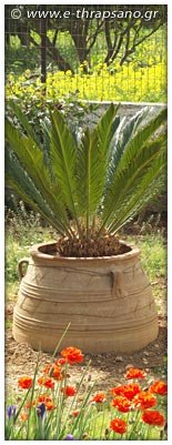 cretan-ceramics-pithari-finikas